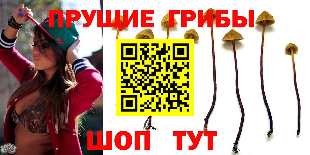 Псилоцибиновые грибы мицелий  Вход с VPN  Артёмовский  Галлюциногенные грибы MAGIC MUSHROOMS 